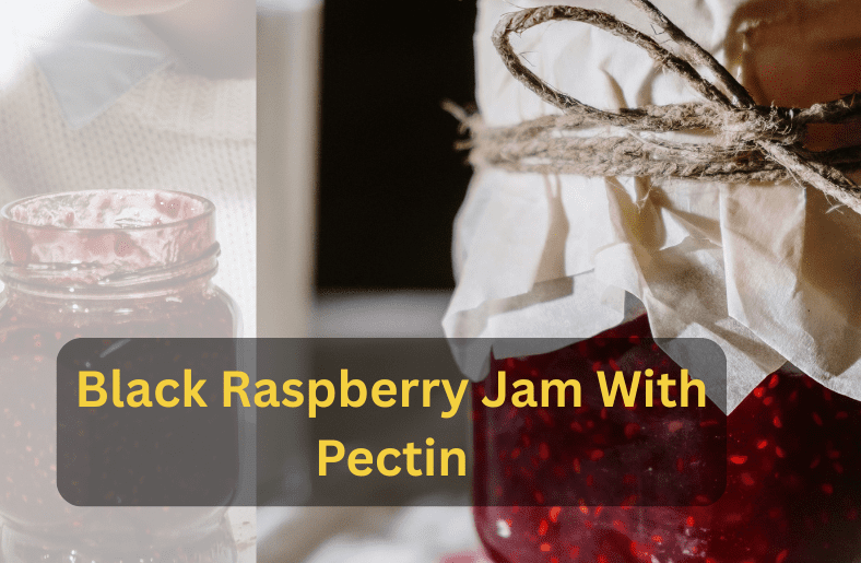 Black raspberry jam with pectin in glass jar, thick and glossy texture