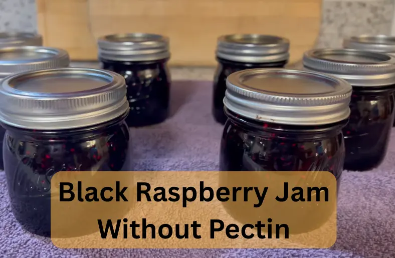 Black Raspberry Jam Without Pectin